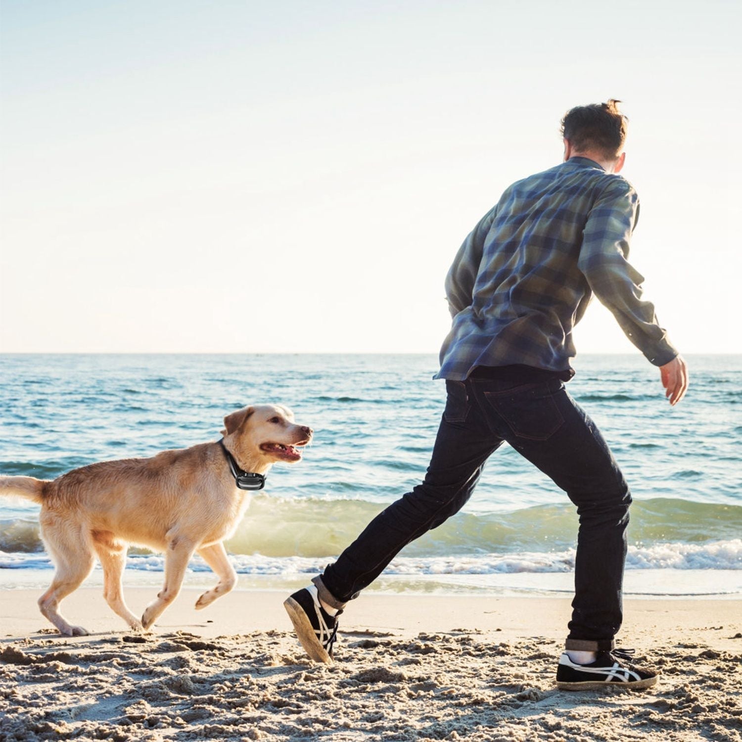 Wireless GPS Dog Fence| GPS Dog Fence | Wireless Pet Fence | GPS Pet Fence | Dog Boundary System | Wireless Dog Fence |Pet Containment Collar | Dog GPS Fence | GPS Dog Collar |