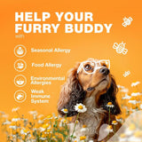 | AllergyEase Chews | ItchRelief Bites | PawComfort Allergy Chews | SkinSooth Chews |
AllergyGuard Bites | PurePup Allergy Relief | ItchAway Chews | AllergyShield Treats |
PawRelief Chews | ScratchStop Bites |