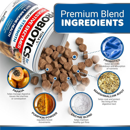 Probiotics for Dogs