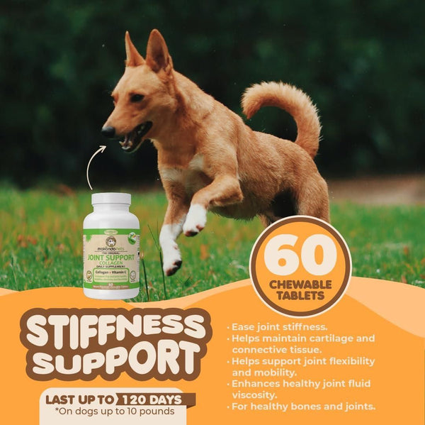 | FlexiPaws Chews | JointEase Bites | MoveWell Chews | ActiveFlex Chews | Hip & Joint Bites |
PawFlex Chews | FlexBoost Bites | StrongStride Chews | VitalPaws Chews | AgilePet Chews |