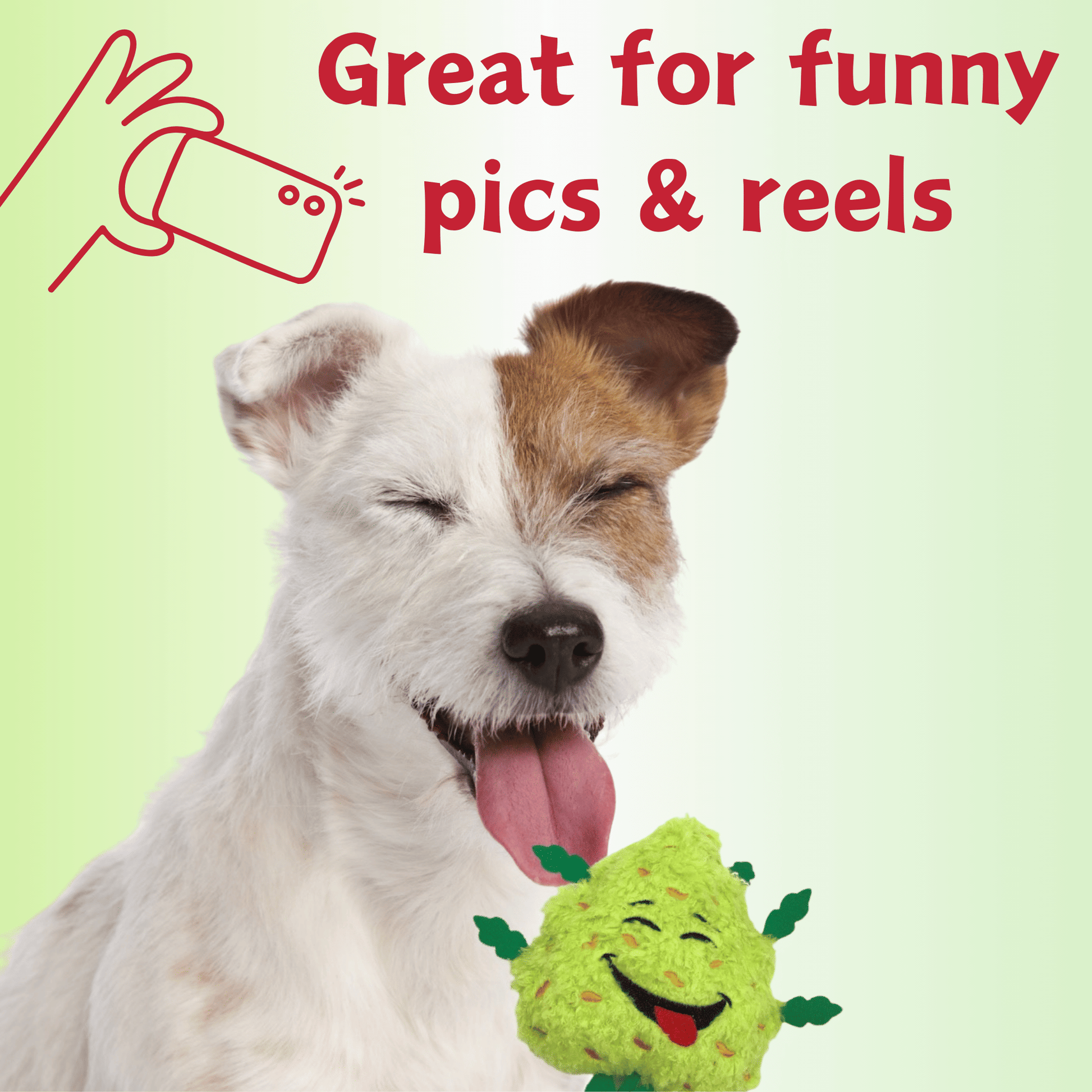 HilariousPetToy