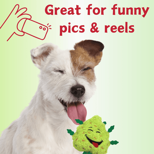 HilariousPetToy