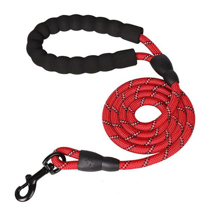 375486461Pet Leash