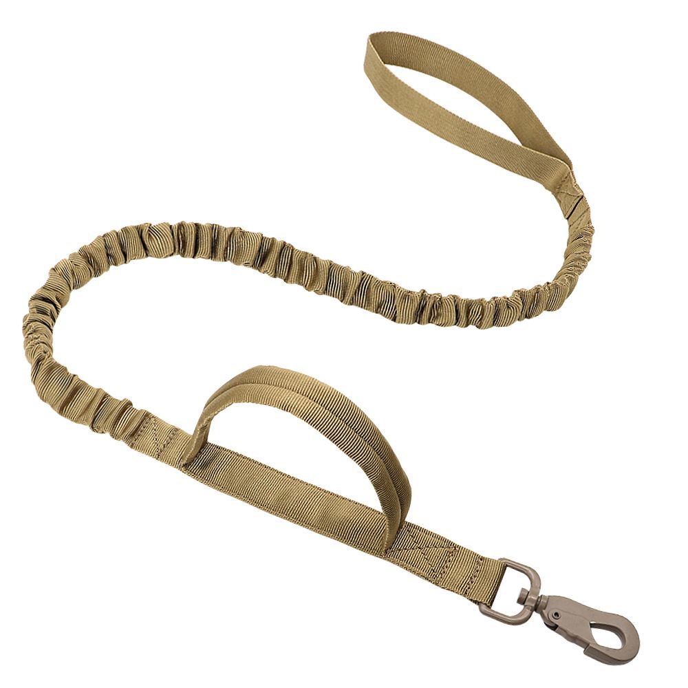 Bungee Dog Leash