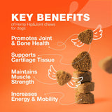 HempFlex Joint Chews |Glucosamine Mobility Bites |JointEase Hemp Chews |FlexiPaws Hip & Joint Treats |HempHip Joint Support Chews |MoveWell Dog Chews |PawFlex Joint Health Bites |Hip & Joint Vitality Chews |Canine Mobility Boost Chews |ActivePup Hip & Joint Treats