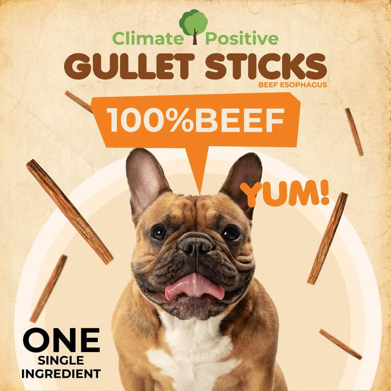 Gullet Chews 24 |Beef Sticks 24 |Natural Gullet 24 |Esophagus Chews 24 |Premium Dog Chews 24 |Beef Chews 6” |Training Sticks 24 |Zero-Fill Chews 24 |Gullet Treats 24