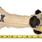 pet entertainment toy