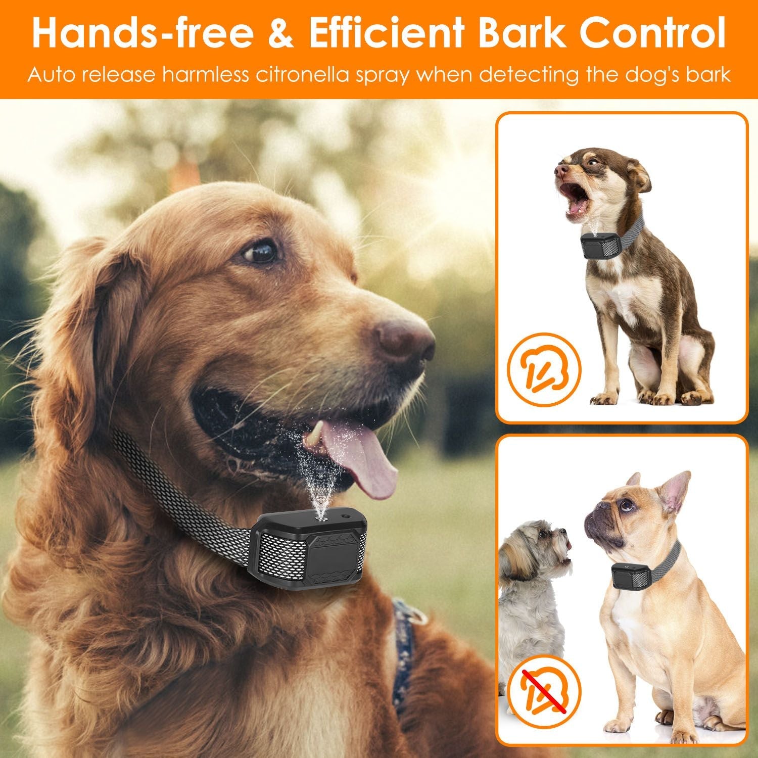 Citronella Bark Collar