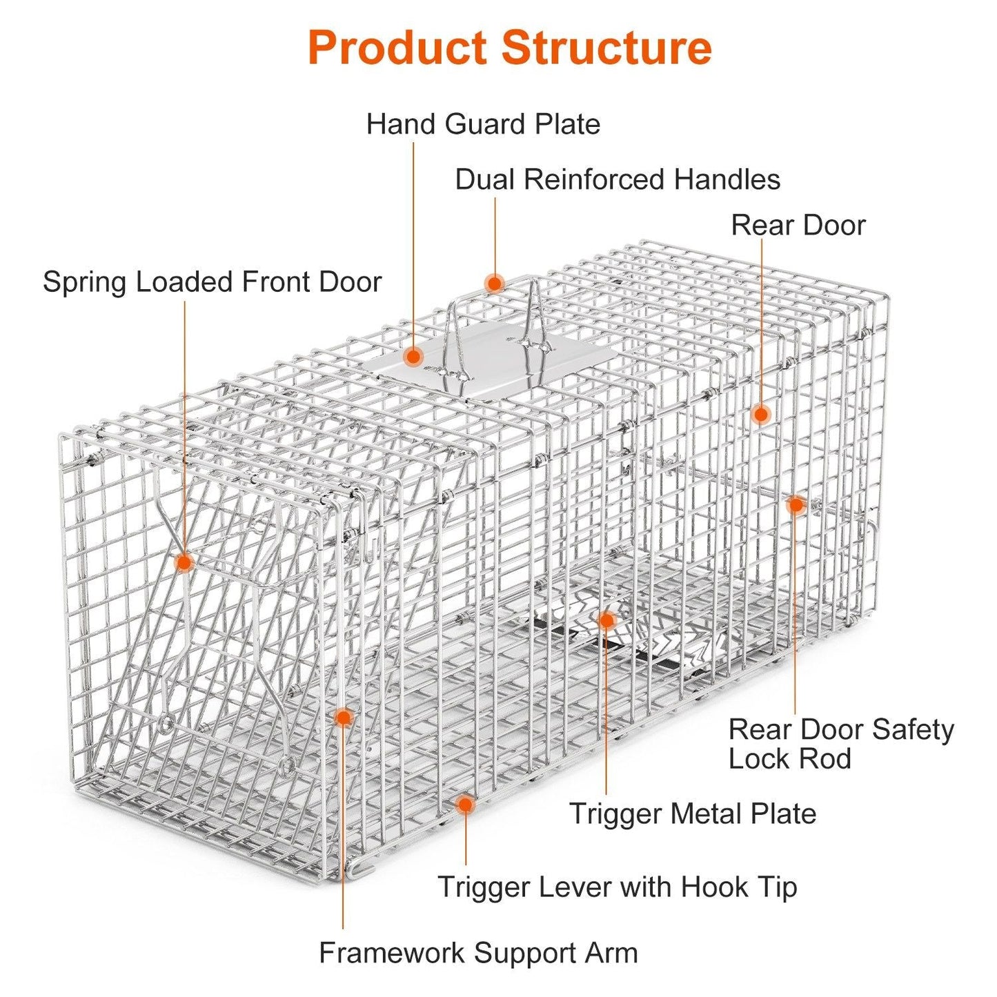 Safe & Effective Trap