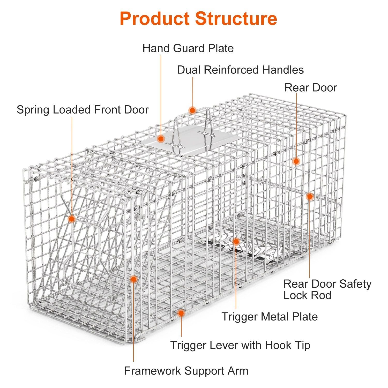 Safe & Effective Trap