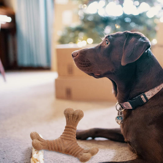 Pet Teething Stick