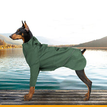 Dog Clothing With Traction Hole