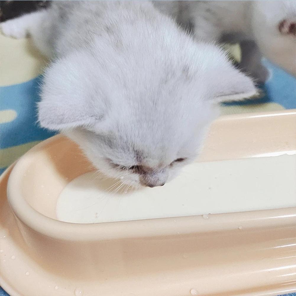 Pet Bowls
