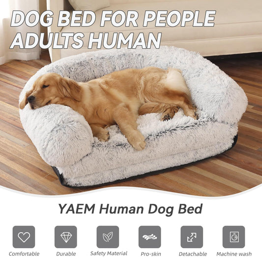 Human Pet Sofa