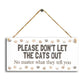 Pet Accessories