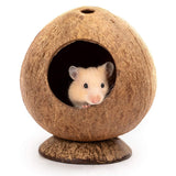 | Hamster Accessories | Trendy Pet Toys | Stylish Hamster Gear | Modern Hamster Toys |
Chic Hamster Supplies | Hamster Habitat Gear | Fashion Hamster Toys | Pet Trend Accessories |
