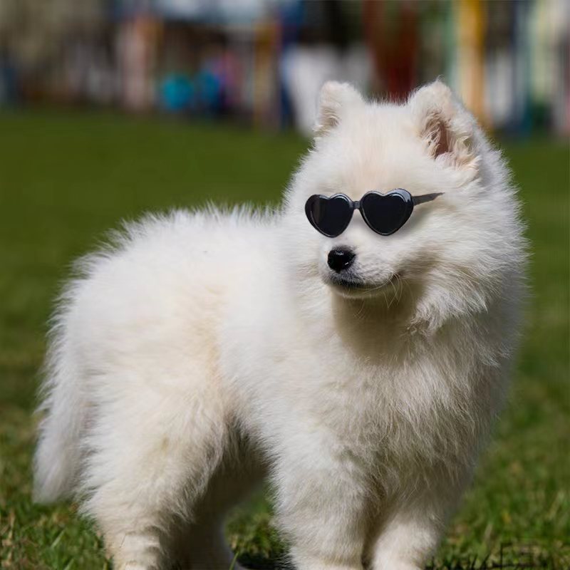 Doll Sunglasses
