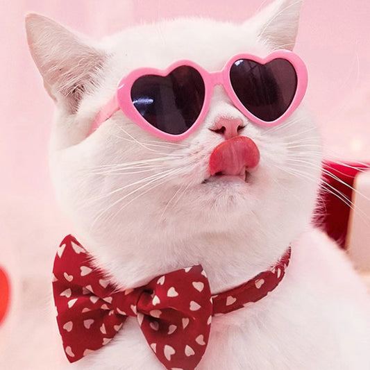 Doll Sunglasses