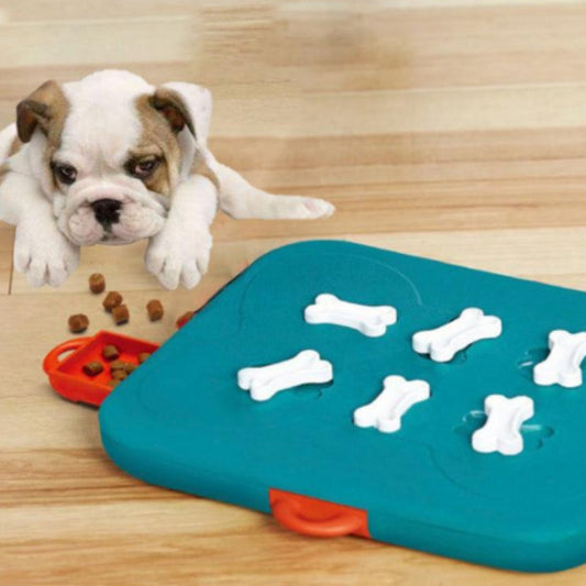 Pet Casino Treasure Hunt